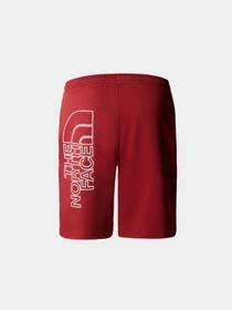 Шорты The North Face M Graphic Short Light-Eu модель NF0A3S4FPOJ1 Фото