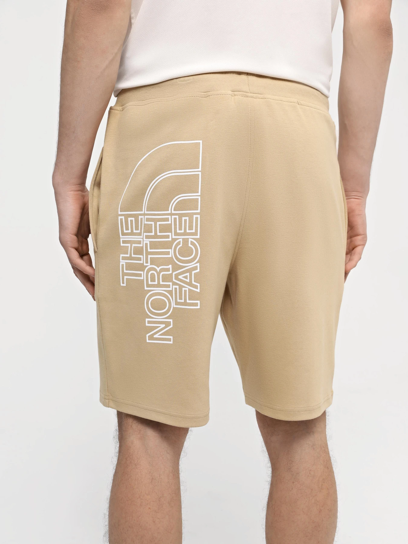 Шорты The North Face M Graphic Short Light-Eu модель NF0A3S4FLK51 Фото