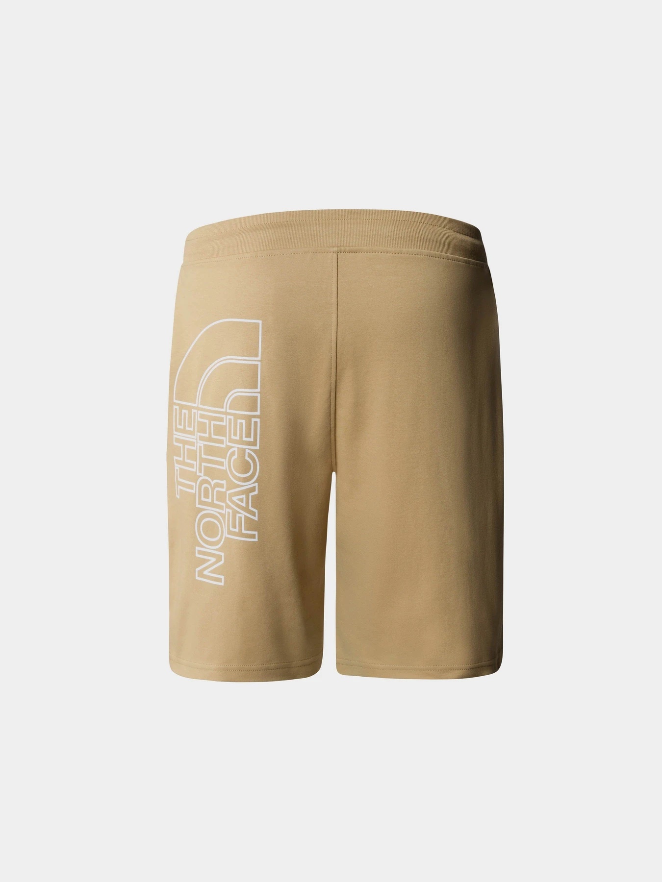 Шорты The North Face M Graphic Short Light-Eu модель NF0A3S4FLK51 Фото