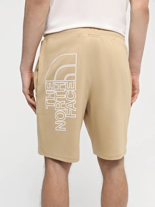 Бавовняні Чоловічі Повсякденні шорти The North Face M Graphic Short Light-Eu фото 3