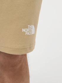 Шорты The North Face M Graphic Short Light-Eu модель NF0A3S4FLK51 Фото