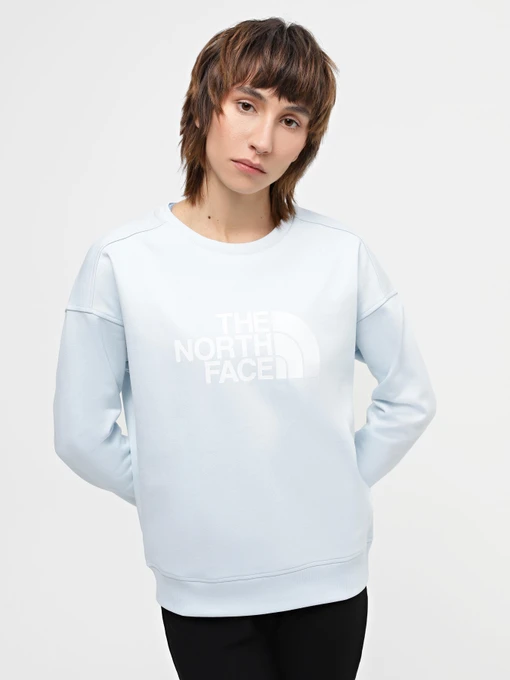 Худи и свитшоты The North Face Drew Peak модель NF0A3S4GO0R1 Фото