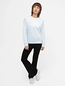 Худи и свитшоты The North Face Drew Peak модель NF0A3S4GO0R1 Фото