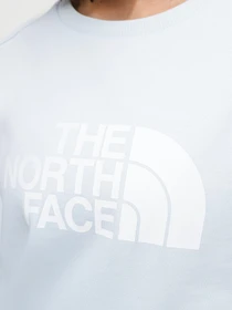 Худи и свитшоты The North Face Drew Peak модель NF0A3S4GO0R1 Фото