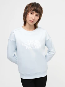 Худи и свитшоты The North Face Drew Peak модель NF0A3S4GO0R1 Фото