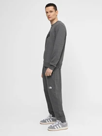 Брюки The North Face M Nse Light Pant модель NF0A4T1FDYY1 Фото