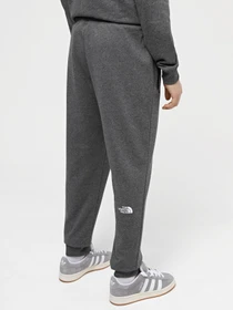 Брюки The North Face M Nse Light Pant модель NF0A4T1FDYY1 Фото