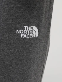 Брюки The North Face M Nse Light Pant модель NF0A4T1FDYY1 Фото