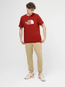 Брюки The North Face M Nse Light Pant модель NF0A4T1FLK51 Фото