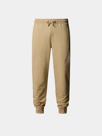 Брюки The North Face M Nse Light Pant модель NF0A4T1FLK51 Фото