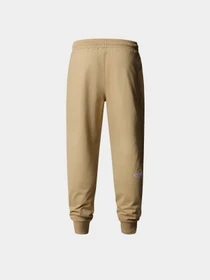 Брюки The North Face M Nse Light Pant модель NF0A4T1FLK51 Фото