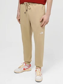 Брюки The North Face M Nse Light Pant модель NF0A4T1FLK51 Фото