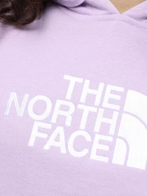 Худи и свитшоты The North Face W Drew Peak Pullover Hoodie - Eu модель NF0A55ECQZI1 Фото