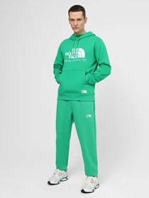 Худи и свитшоты The North Face M Berkeley California Hoodie модель NF0A55GFPO81 Фото