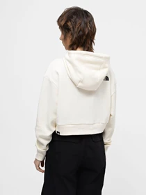 Худи и свитшоты The North Face Trend модель NF0A5ICYQLI1 Фото