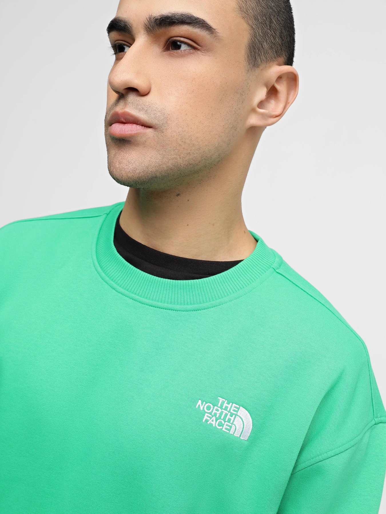 Худи и свитшоты The North Face Essential Crew модель NF0A7ZJAPO81 Худи и свитшоты The North Face Essential Crew модель NF0A7ZJAPO81 Фото