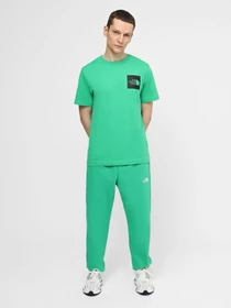 Брюки The North Face M Essential Jogger модель NF0A7ZJBPO81 Фото