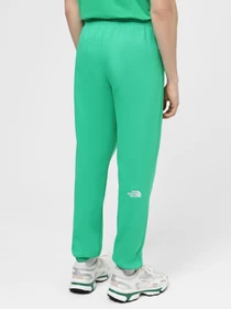 Брюки The North Face M Essential Jogger модель NF0A7ZJBPO81 Фото