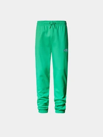 Брюки The North Face M Essential Jogger модель NF0A7ZJBPO81 Фото