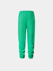 Брюки The North Face M Essential Jogger модель NF0A7ZJBPO81 Фото