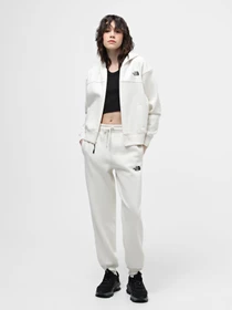 Брюки The North Face W Essential модель NF0A7ZJFQLI1 Фото