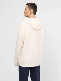 Худи и свитшоты The North Face U Street Explorer Hoodie модель NF0A87D3QLI1 Фото