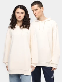 Худі та світшоти The North Face U Street Explorer Hoodie модель NF0A87D3QLI1 Фото