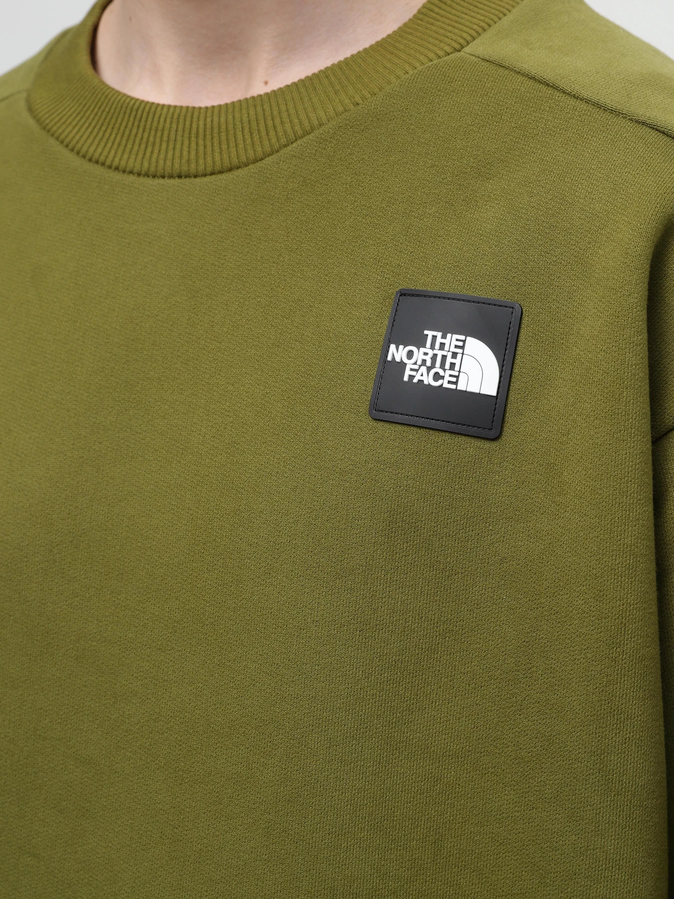 Худі та світшоти The North Face U The 489 Crew модель NF0A87D8PIB1 Фото