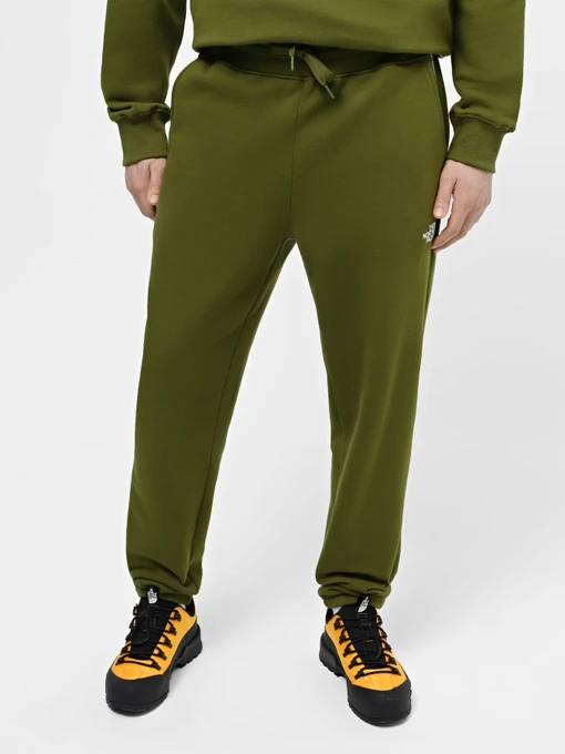 Брюки The North Face Zumu модель NF0A87DEPIB1 Фото