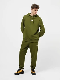 Брюки The North Face Zumu модель NF0A87DEPIB1 Фото