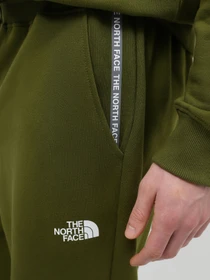 Брюки The North Face Zumu модель NF0A87DEPIB1 Фото