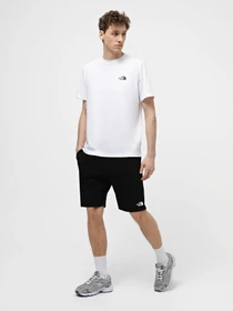 Шорты The North Face Zumu модель NF0A87DFJK31 Фото