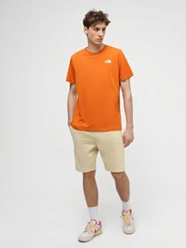 Шорты The North Face Zumu Shorts модель NF0A87DF3X41 Фото