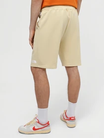 Шорты The North Face Zumu Shorts модель NF0A87DF3X41 Фото