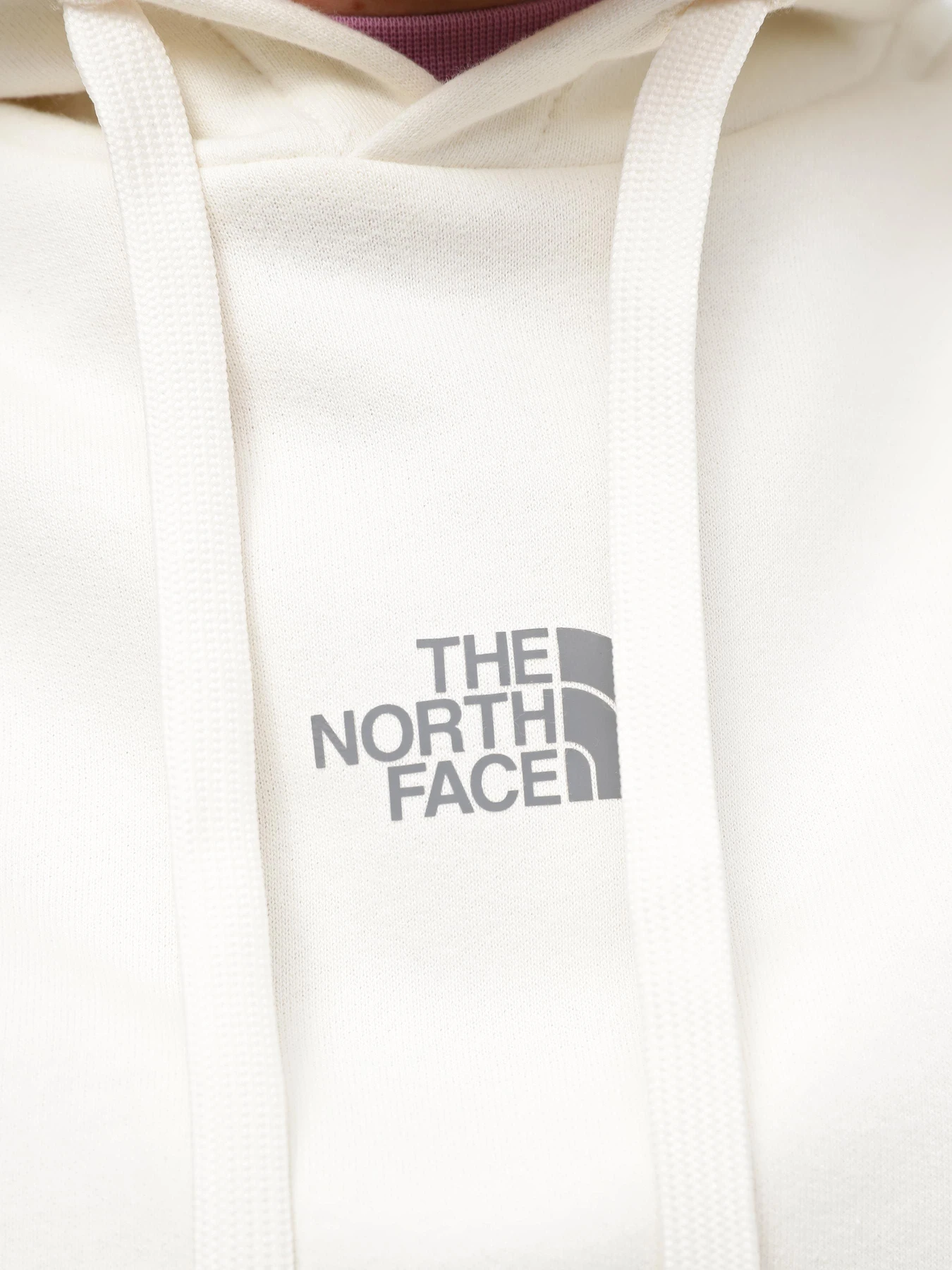 Худи и свитшоты The North Face Zumu Hoodie модель NF0A87DGQLI1 Фото