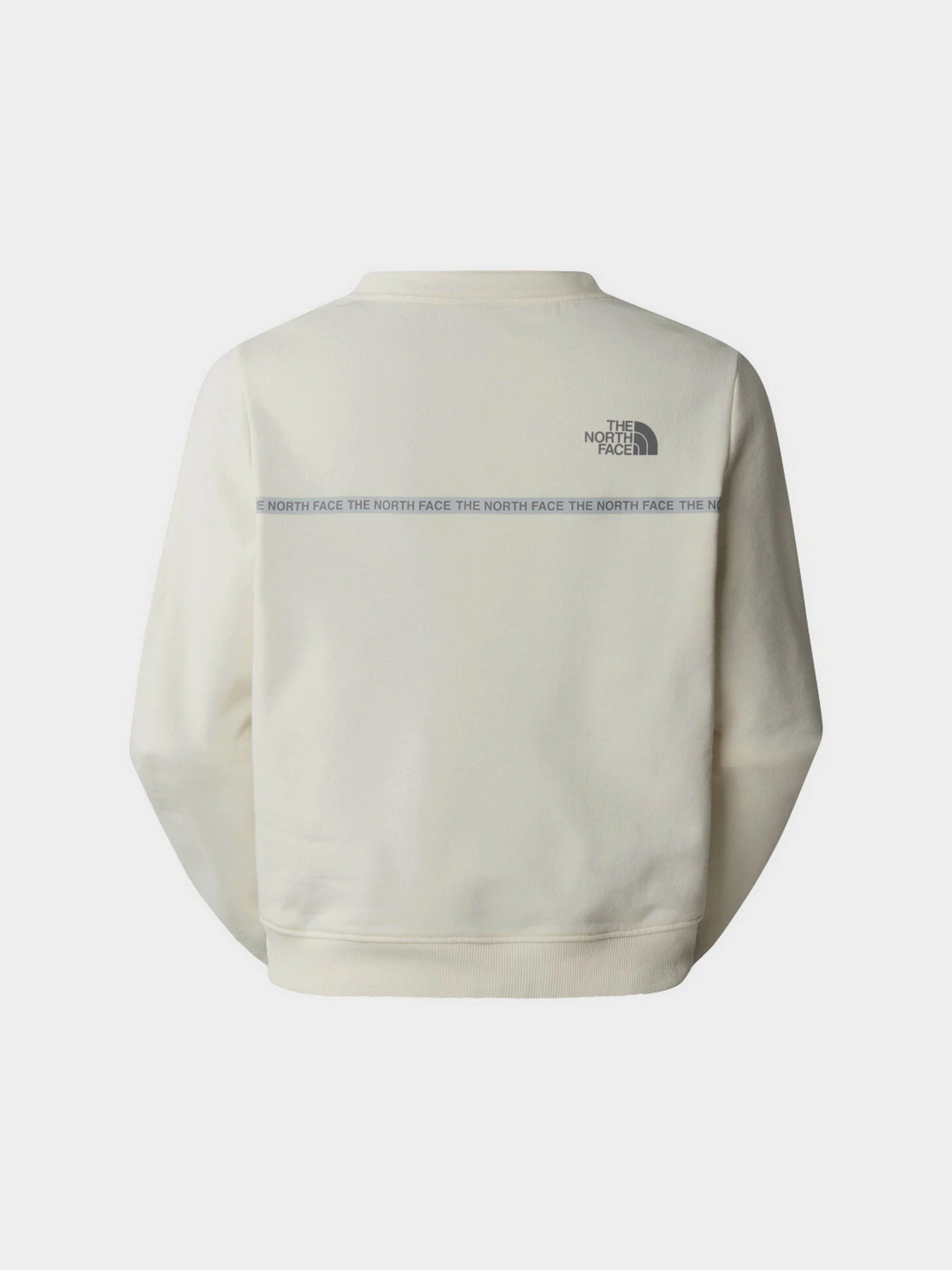 Худи и свитшоты The North Face W Zumu Crew модель NF0A87DHQLI1 Фото