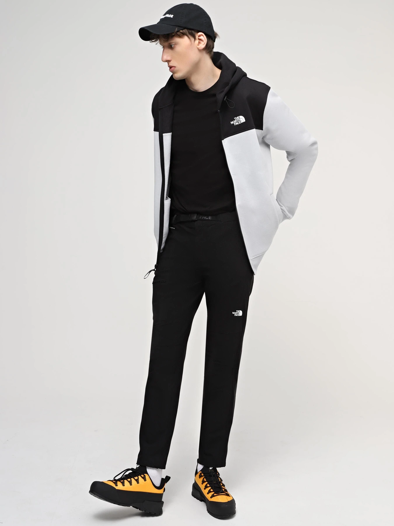 Худи и свитшоты The North Face M Icons Full Zip Hoodie модель NF0A87DNA0M1 Фото