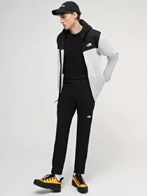 Худи и свитшоты The North Face M Icons Full Zip Hoodie модель NF0A87DNA0M1 Фото