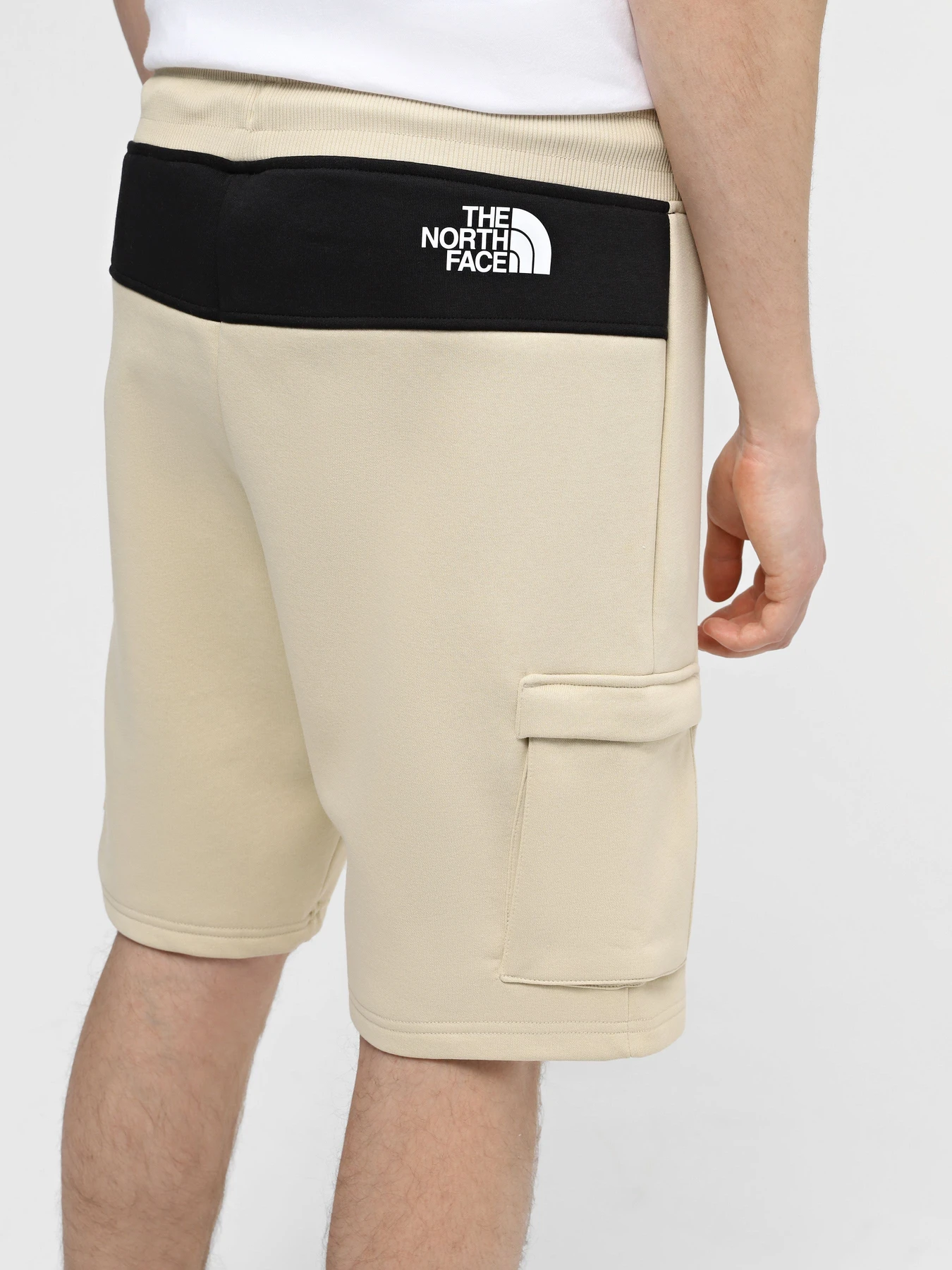 Шорты The North Face M Icons Cargo Shorts модель NF0A87DR3X41 Шорты The North Face M Icons Cargo Shorts модель NF0A87DR3X41 Фото