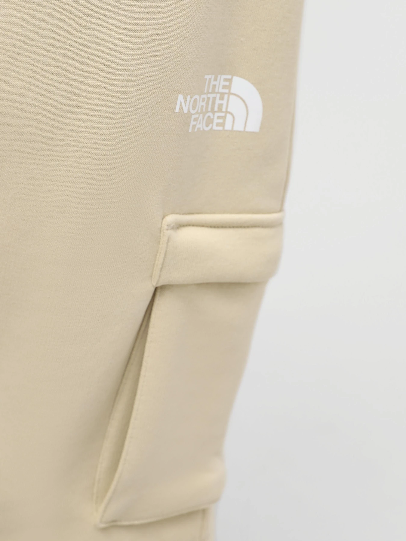 Шорты The North Face M Icons Cargo Shorts модель NF0A87DR3X41 Шорты The North Face M Icons Cargo Shorts модель NF0A87DR3X41 Фото