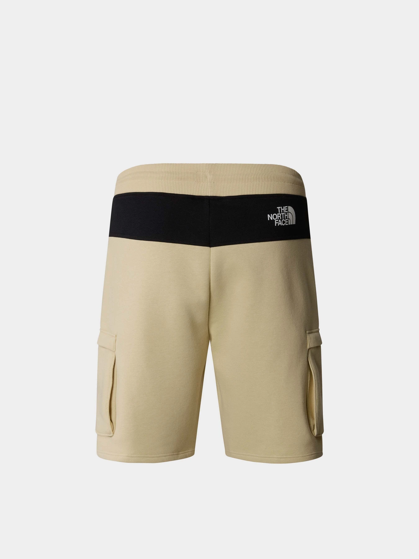 Шорты The North Face M Icons Cargo Shorts модель NF0A87DR3X41 Шорты The North Face M Icons Cargo Shorts модель NF0A87DR3X41 Фото