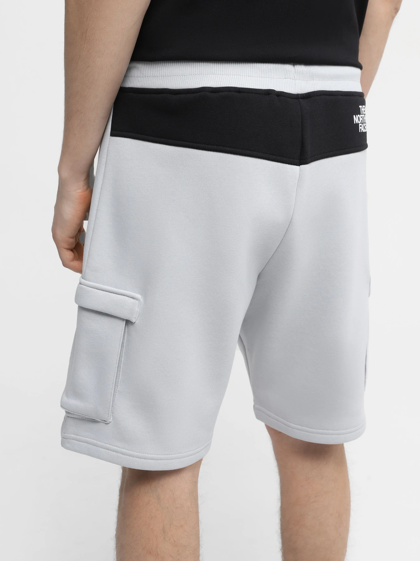 Шорты The North Face M Icons Cargo Shorts модель NF0A87DRA0M1 Шорты The North Face M Icons Cargo Shorts модель NF0A87DRA0M1 Фото