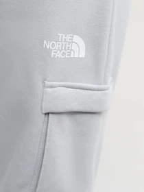 Шорты The North Face M Icons Cargo Shorts модель NF0A87DRA0M1 Фото