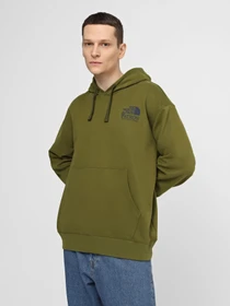 Худи и свитшоты The North Face M Nature Hoodie модель NF0A87DVPIB1 Фото