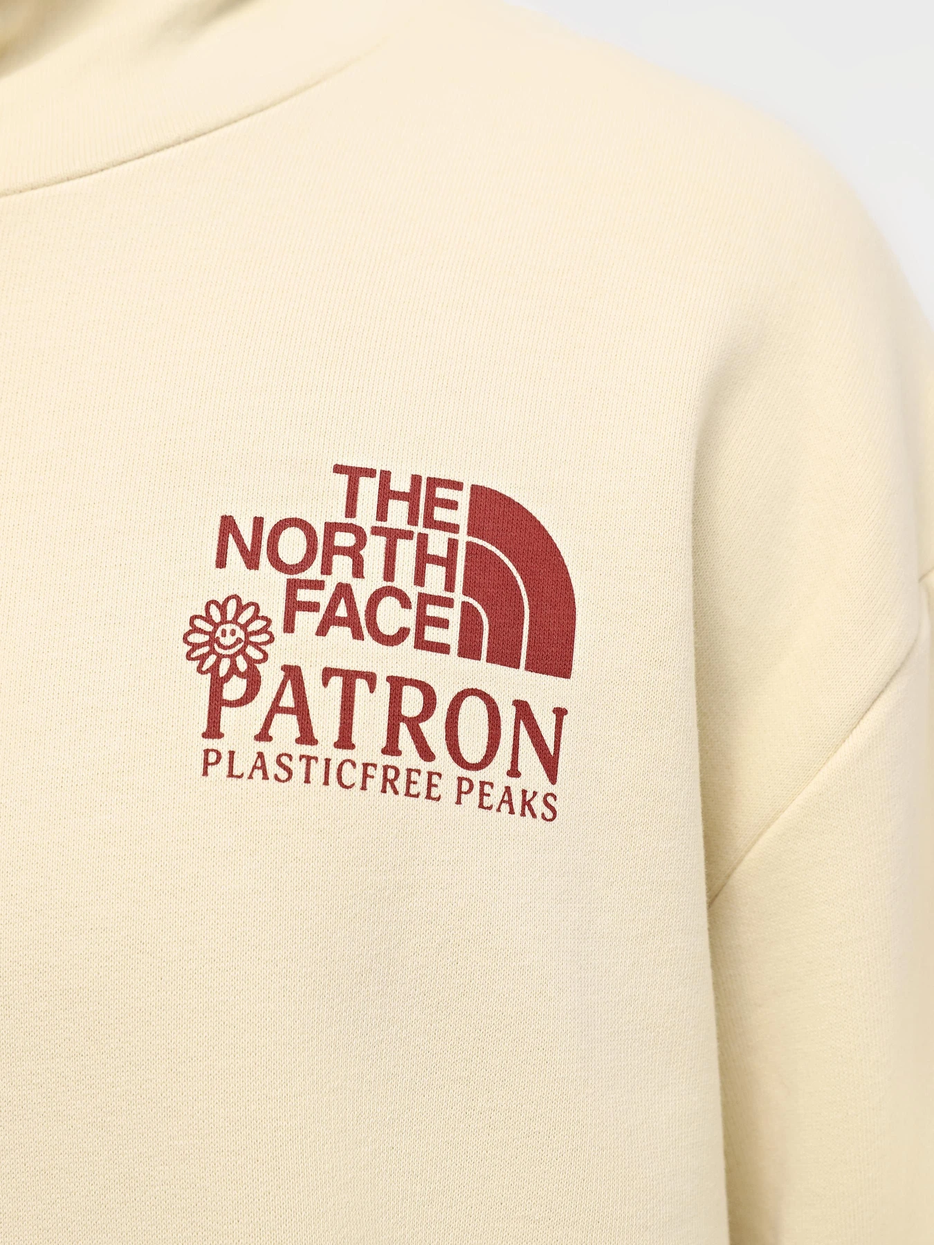 Худи и свитшоты The North Face M Nature Hoodie модель NF0A87DV3X41 Худи и свитшоты The North Face M Nature Hoodie модель NF0A87DV3X41 Фото