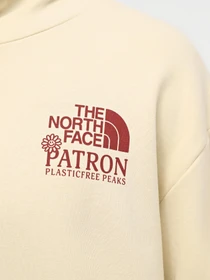 Худи и свитшоты The North Face M Nature Hoodie модель NF0A87DV3X41 Фото