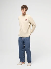 Худи и свитшоты The North Face M Nature L/S Tee модель NF0A87DW3X41 Фото