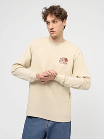 Худи и свитшоты The North Face M Nature L/S Tee модель NF0A87DW3X41 Фото
