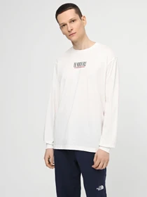 Худи и свитшоты The North Face M Tnf Est 1966 L/S Tee модель NF0A87E6QLI1 Фото