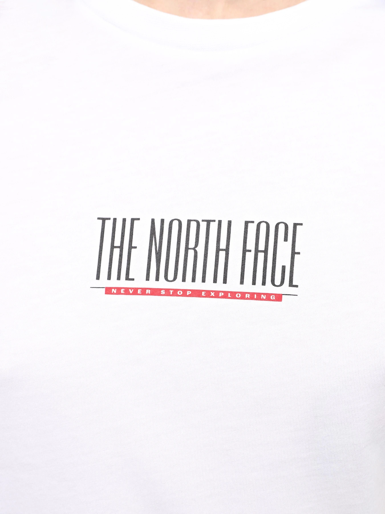 Футболки и поло The North Face W Tnf Est 1966 S/S Tee модель NF0A87E9FN41 Фото